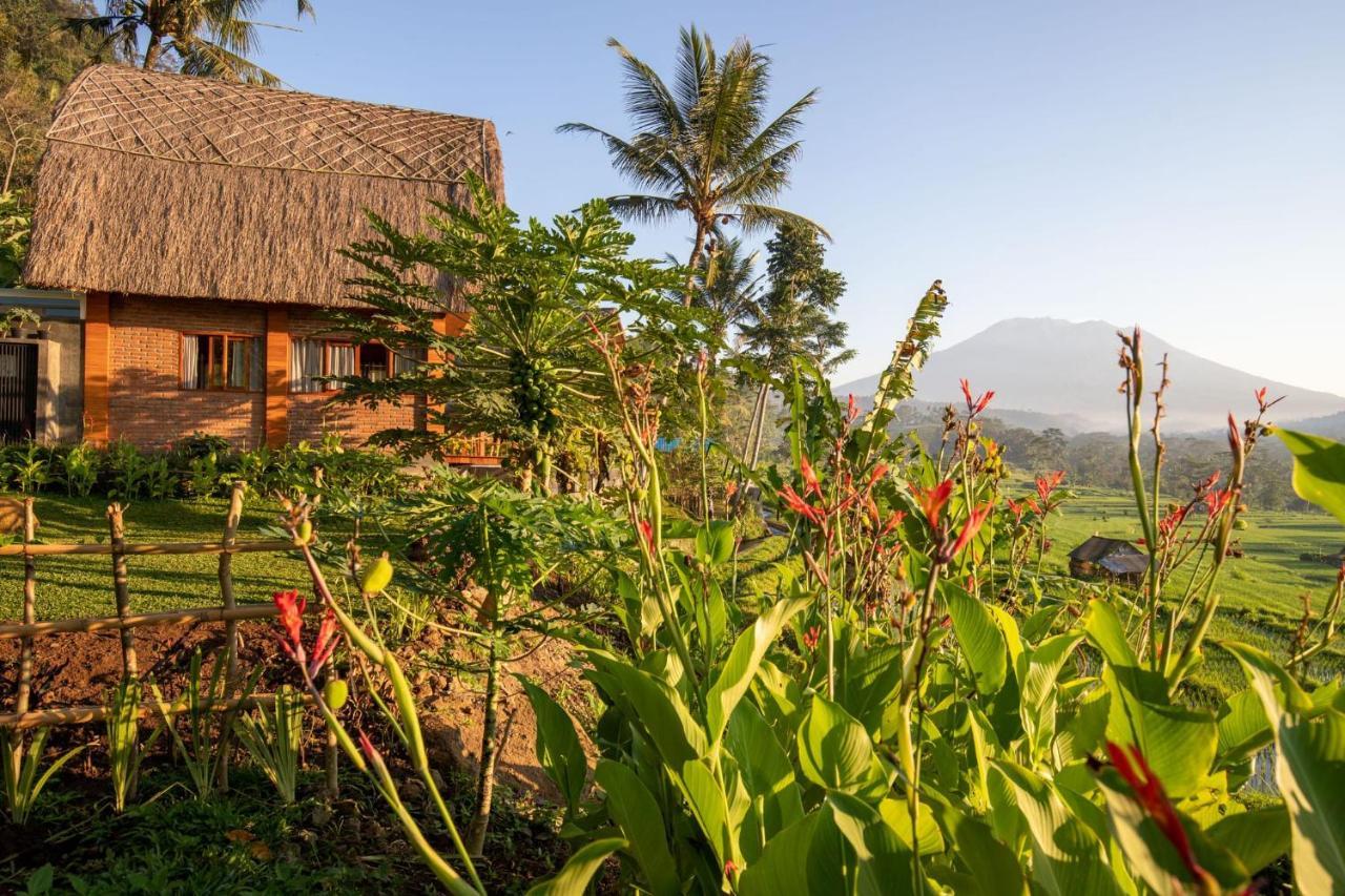 Romantic Barn With Mt. Agung Views Sidemen  Ngoại thất bức ảnh